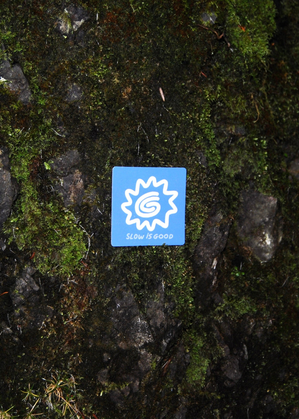 Slow is good sunny magnet