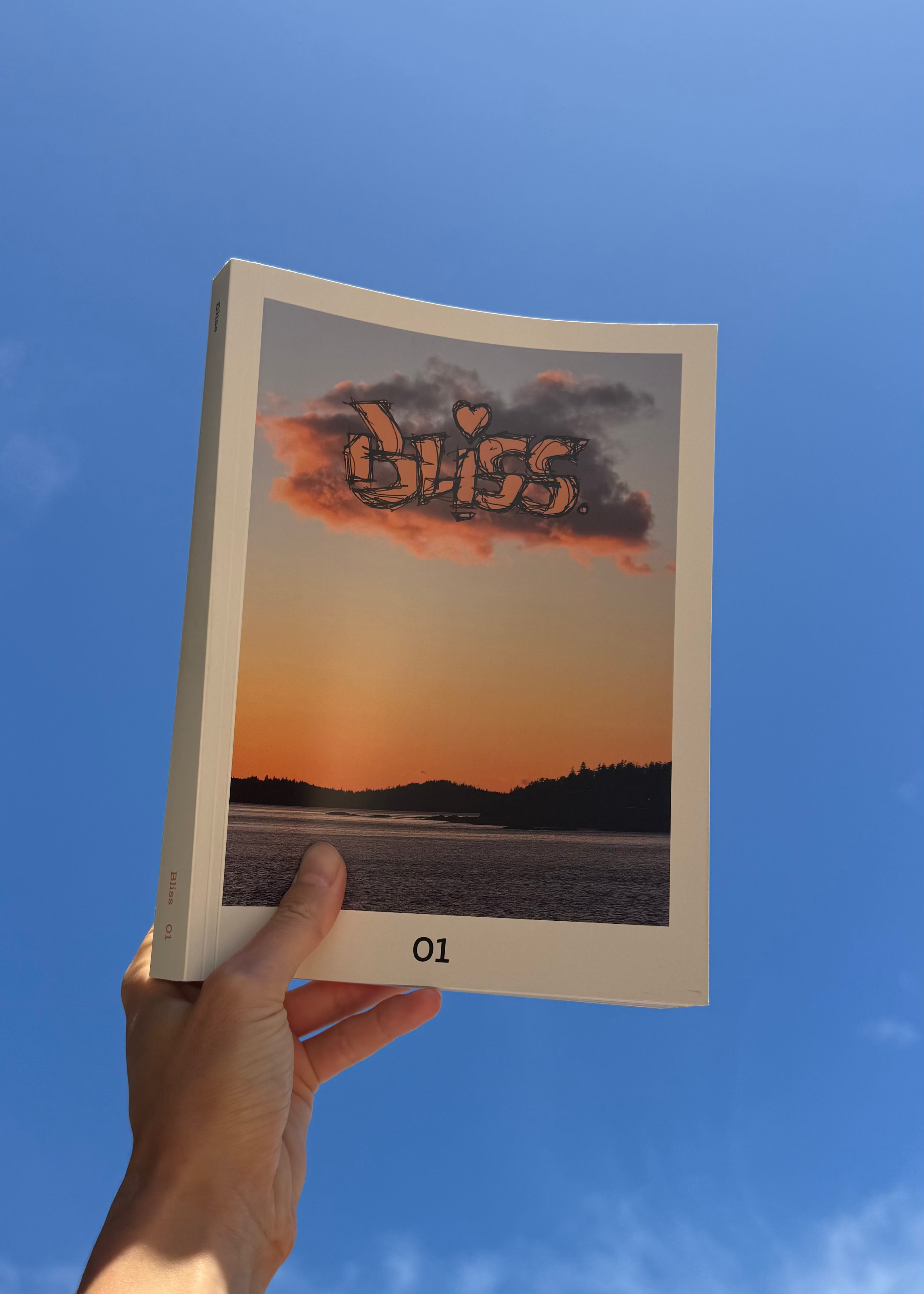 Bliss book