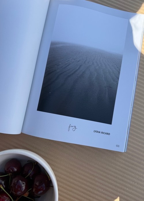 Bliss book